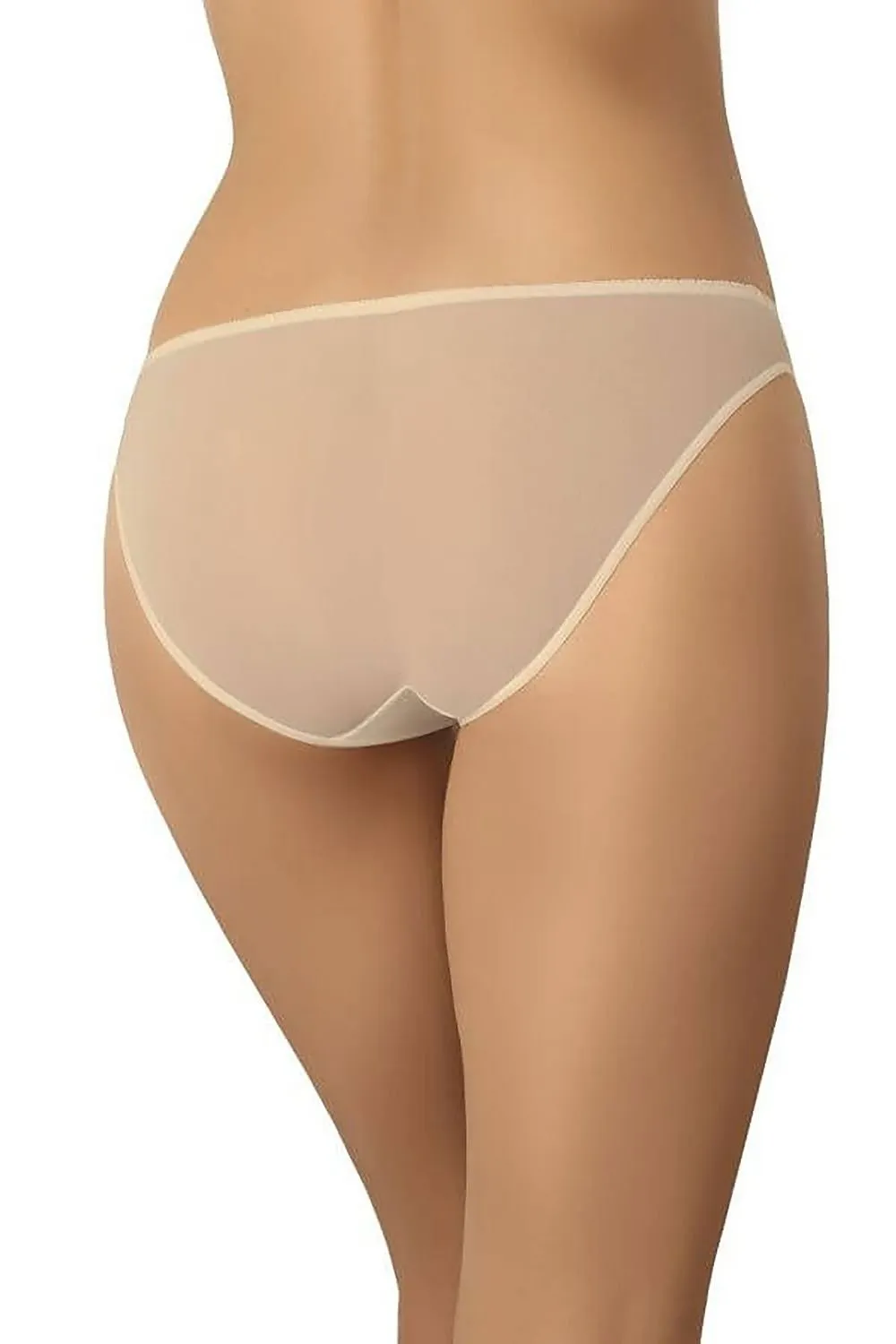 Low Rise Mesh Panties