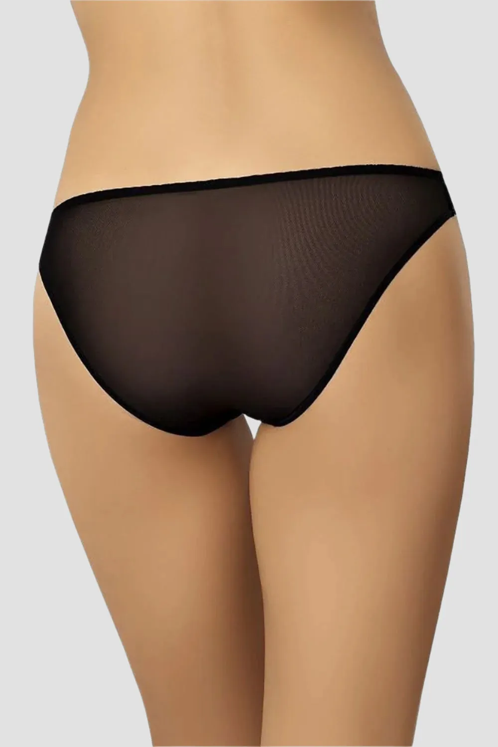 Low Rise Mesh Panties