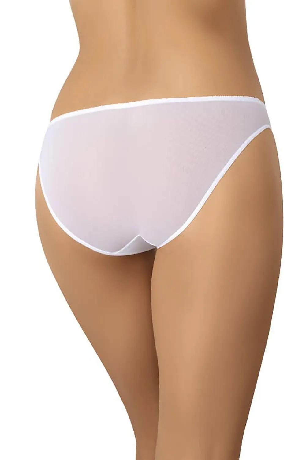 Low Rise Mesh Panties