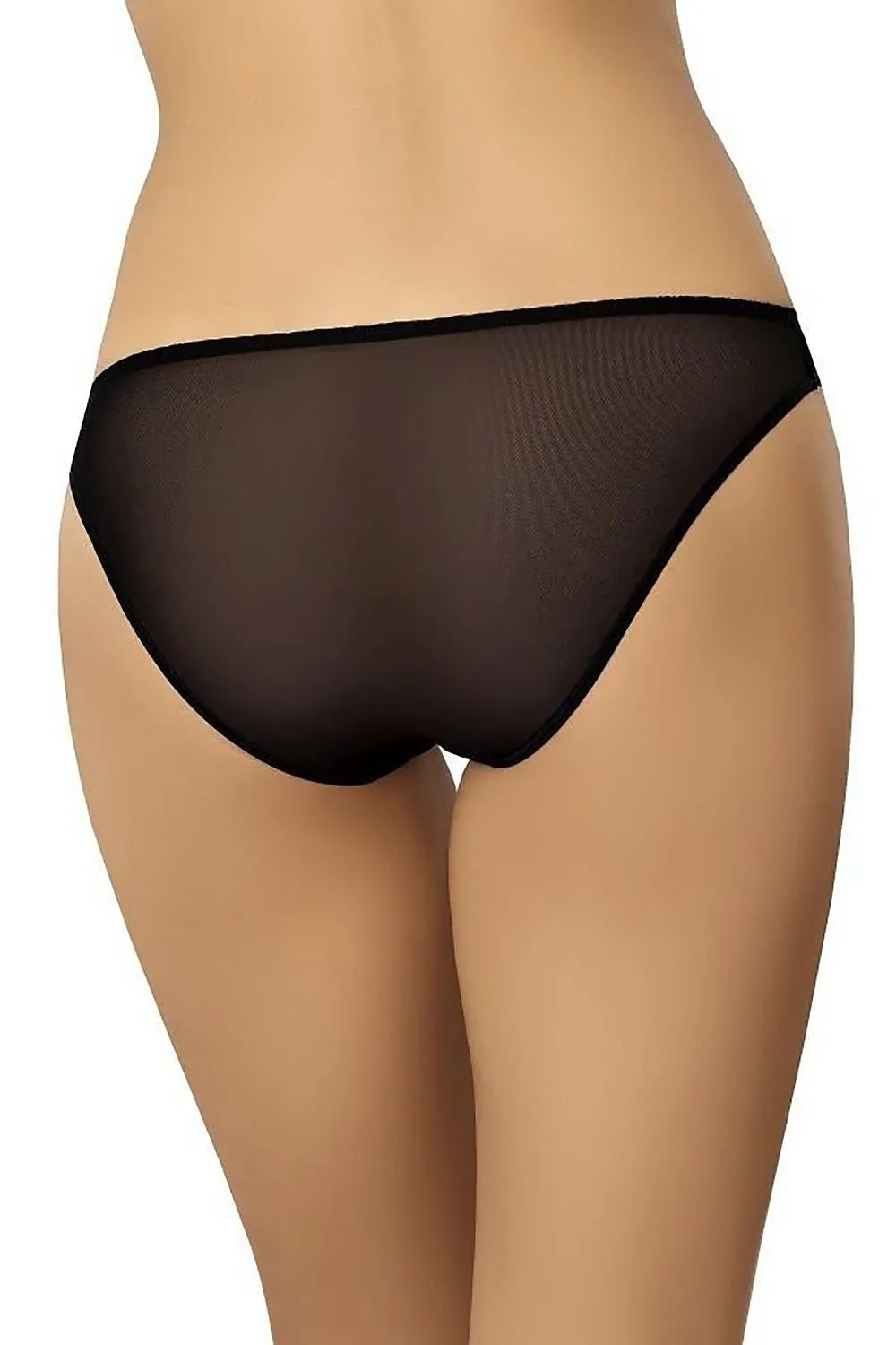 Low Rise Mesh Panties